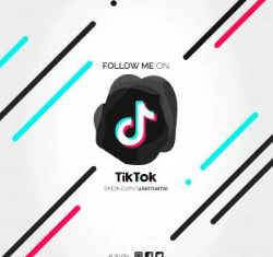 O segredo do TikTok